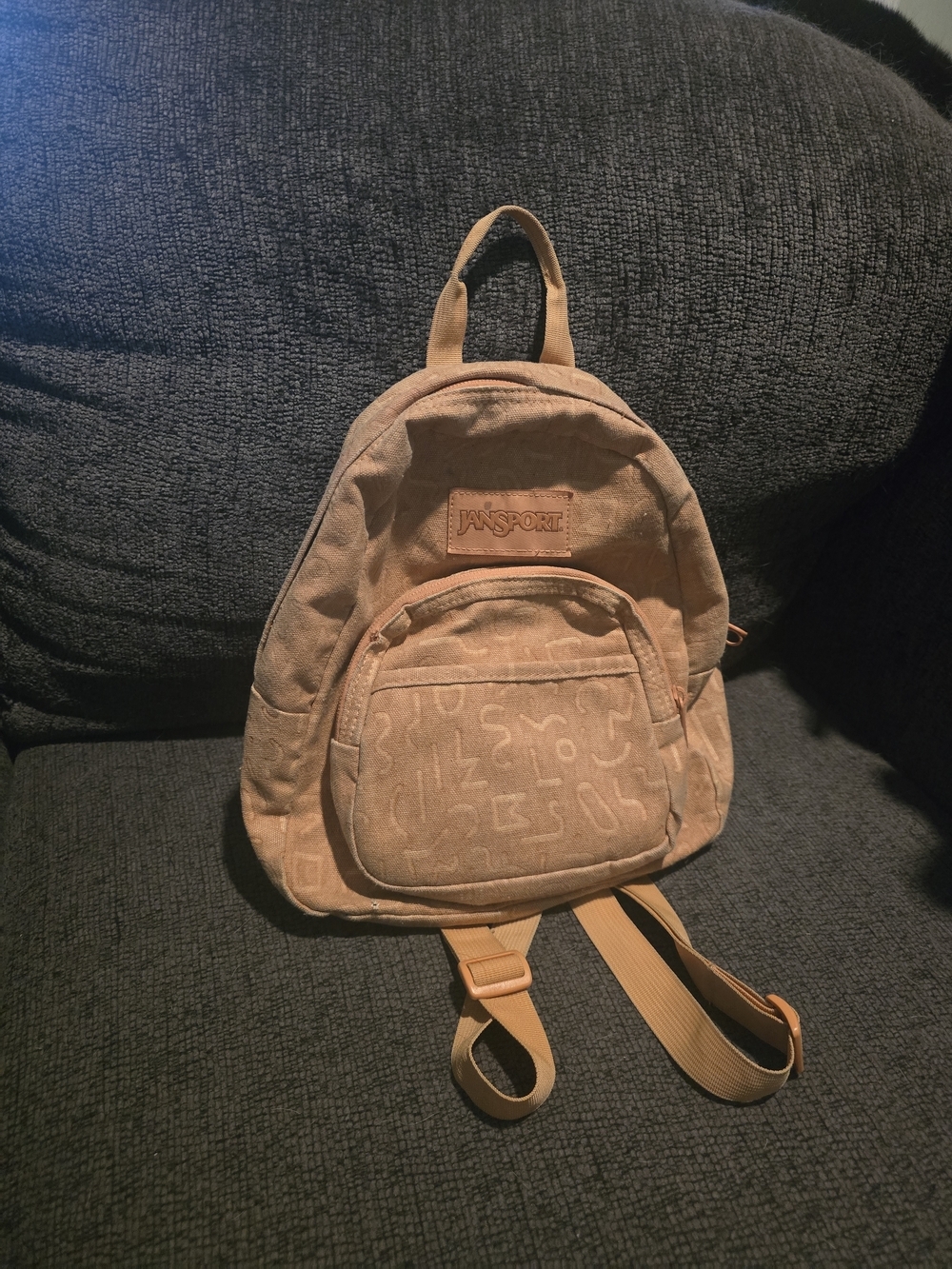 JanSport | Half Pint Mini Backpack
